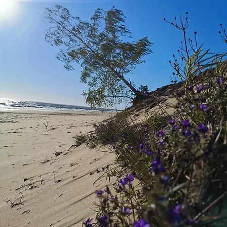 Апартаменты M&k Sloneczna Wyspa - Sobieszewo, Wyspa Sobieszewska