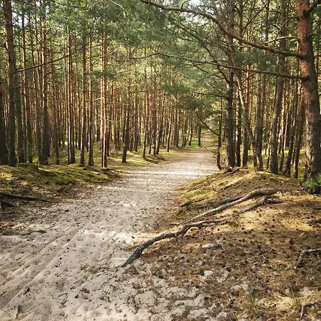 M&k Sloneczna Wyspa - Sobieszewo, Wyspa Sobieszewska *