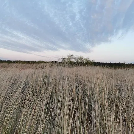 Daire M&k Sloneczna Wyspa - Sobieszewo, Wyspa Sobieszewska *