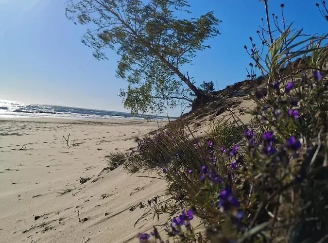 Appartement M&k Sloneczna Wyspa - Sobieszewo, Wyspa Sobieszewska