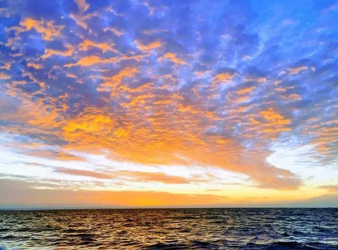 M&k Sloneczna Wyspa - Sobieszewo, Wyspa Sobieszewska * グダニスク