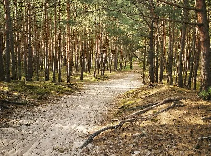 M&k Sloneczna Wyspa - Sobieszewo, Wyspa Sobieszewska *