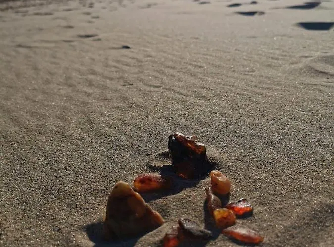 M&k Sloneczna Wyspa - Sobieszewo, Wyspa Sobieszewska Appartement Gdańsk
