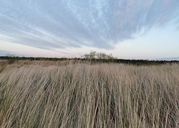 Appartement M&k Sloneczna Wyspa - Sobieszewo, Wyspa Sobieszewska *